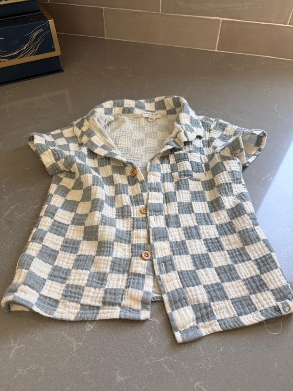 Girls' Short-Sleeve Button-Front Check Shirt in Light Blue & White